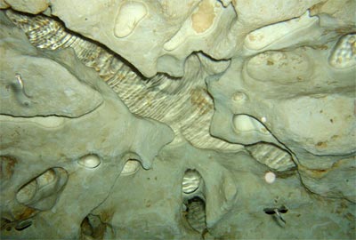 Air Pockets in the Limestone ceiling of Blue Grotto.