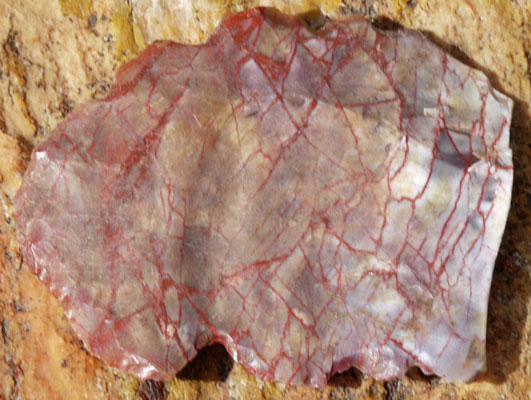 Knife Flaked from Petrified Wood