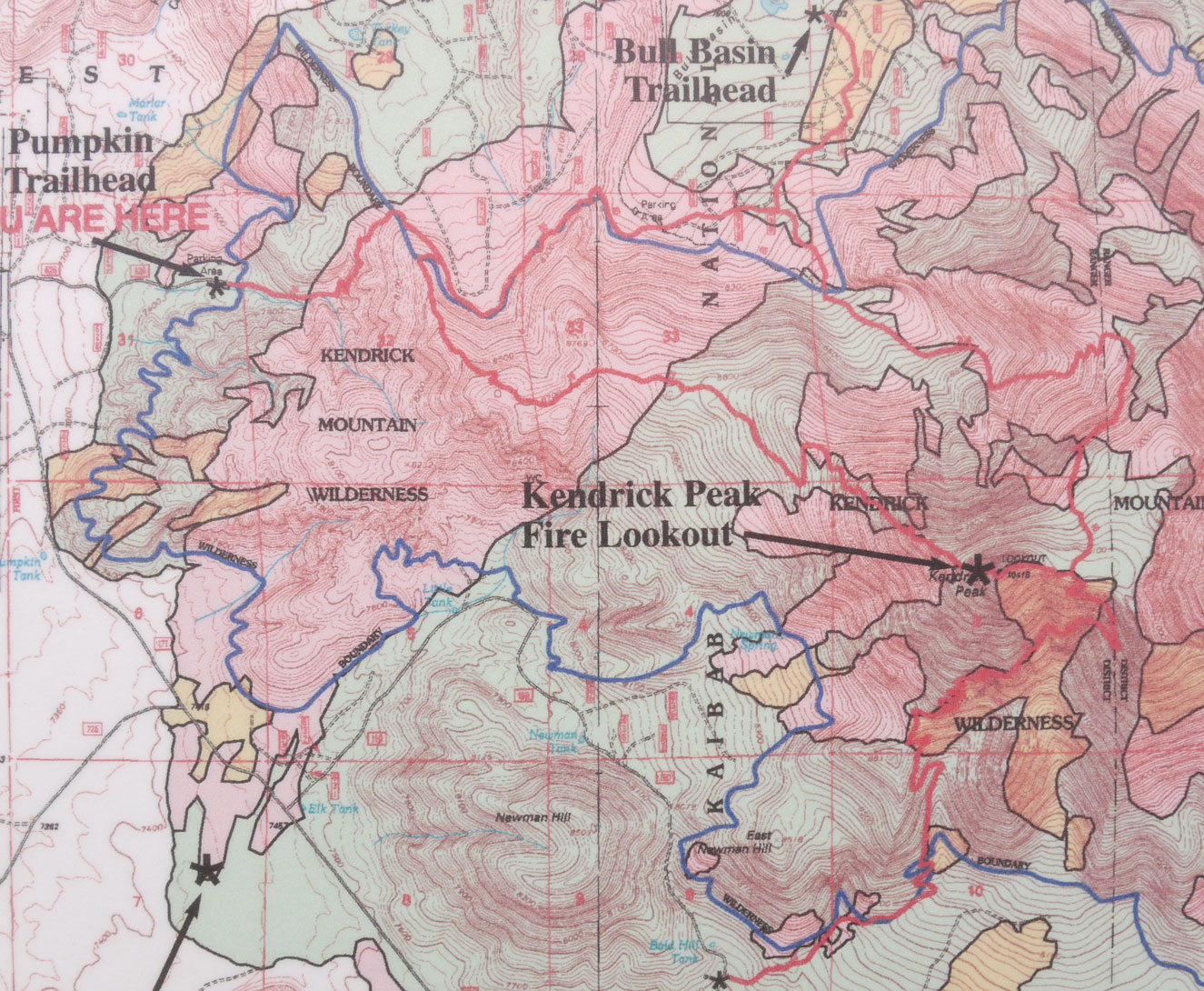 Pumpkin Fire Detail Map