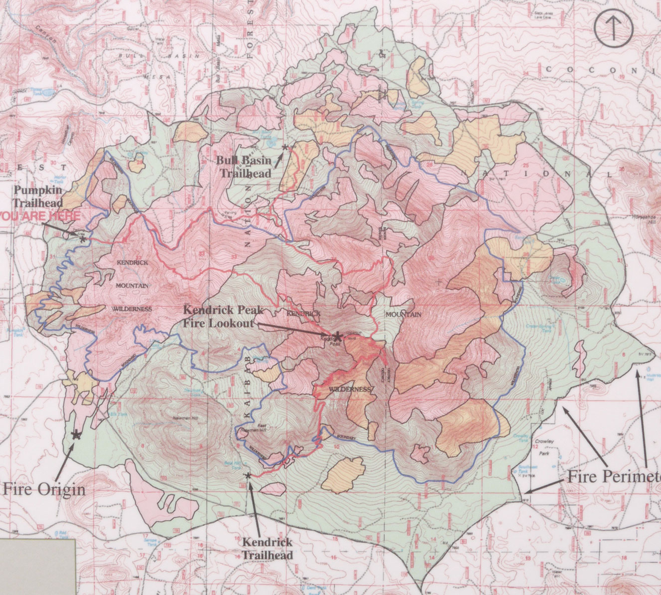 Pumpkin Fire Full Map