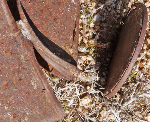 Cans Opened Under Rim