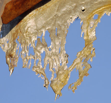 Melted Aluminum School Bus Roof