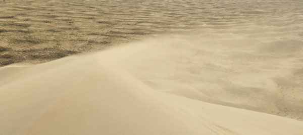 Wind Blown Sand Atop Kelso Dunes